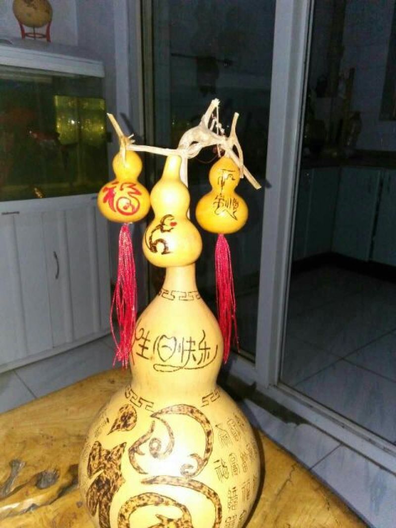 福禄葫芦35~45cm