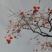 柿饼1~2两