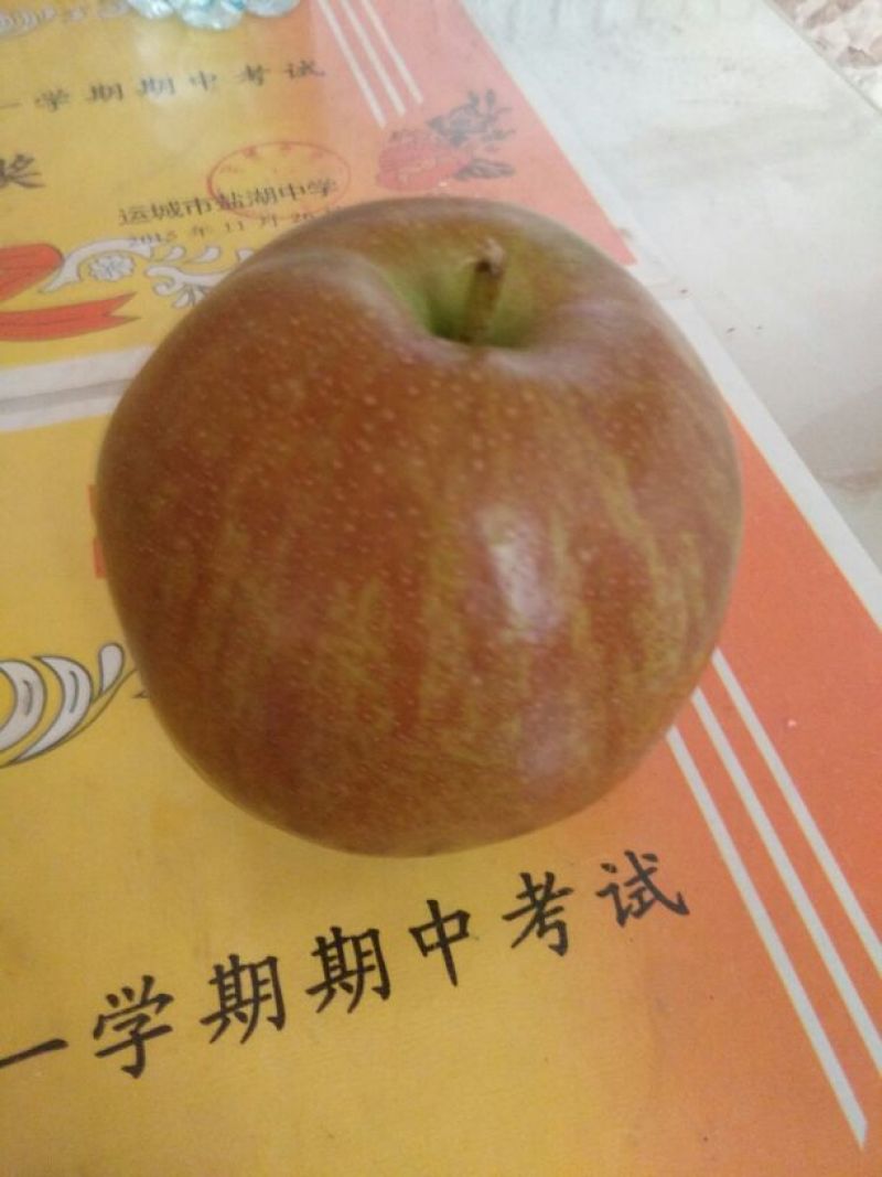 玉露香350~400g膜袋
