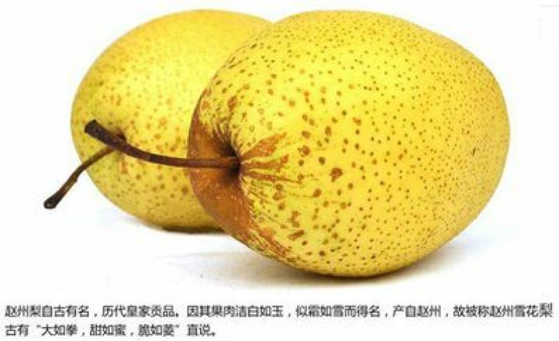 雪花梨250~300g纸箱
