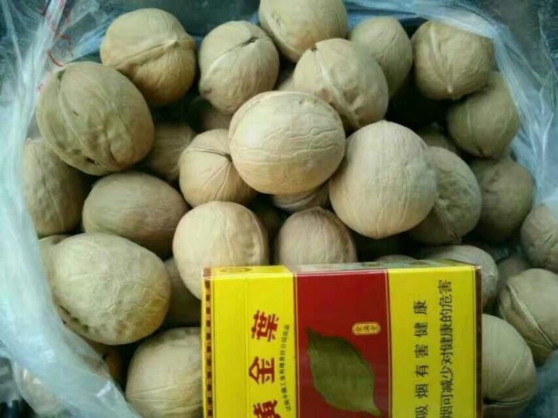 新疆185核桃去皮