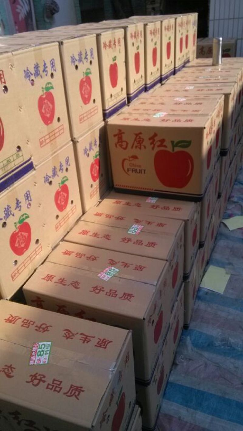 河北膜袋富士苹果，山西万荣膜袋红富士苹果