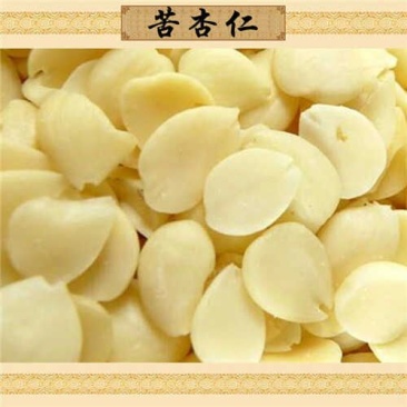 苦杏仁