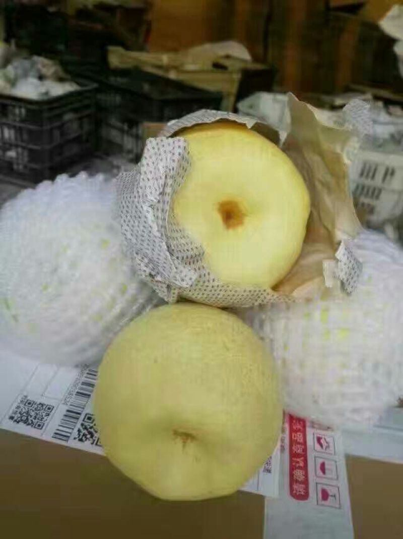 贡梨300~350g纸袋