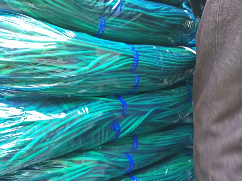 金乡红毛蒜薹50~60厘米一亩田推荐优质供应商