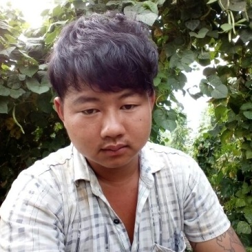 豆角15厘米以上