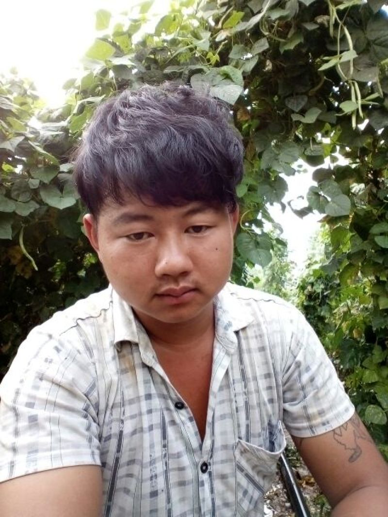 豆角15厘米以上