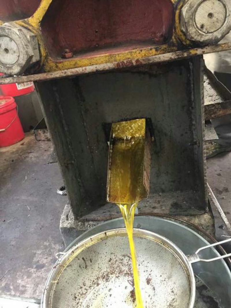 茶树油