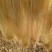 红薯粉丝散装