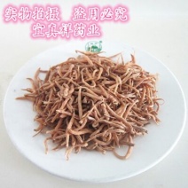 太子参