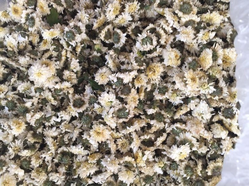 白菊花茶