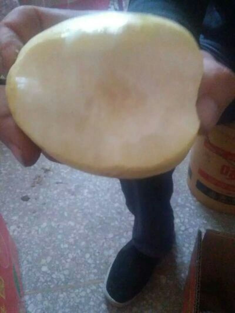贡梨200~250g纸箱