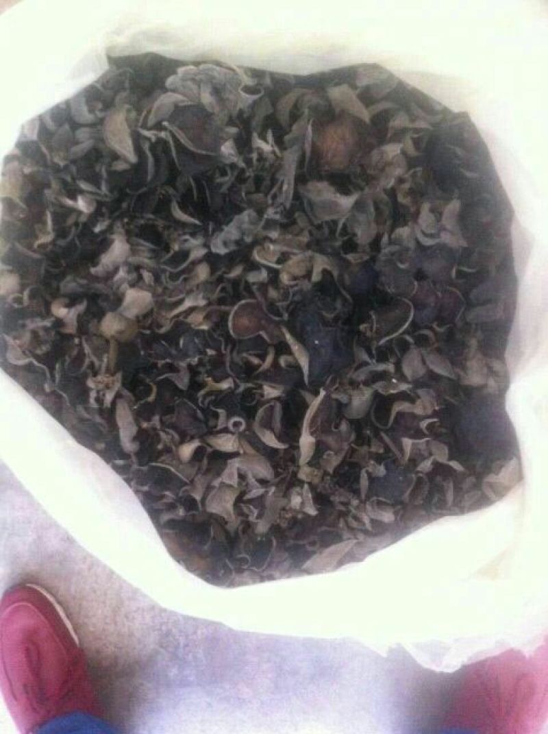 黑木耳一级