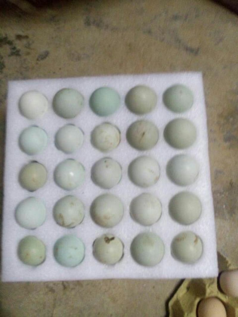 绿壳鸡蛋食用50g以下