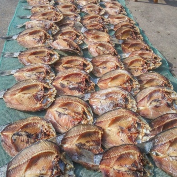 鲫鱼食用