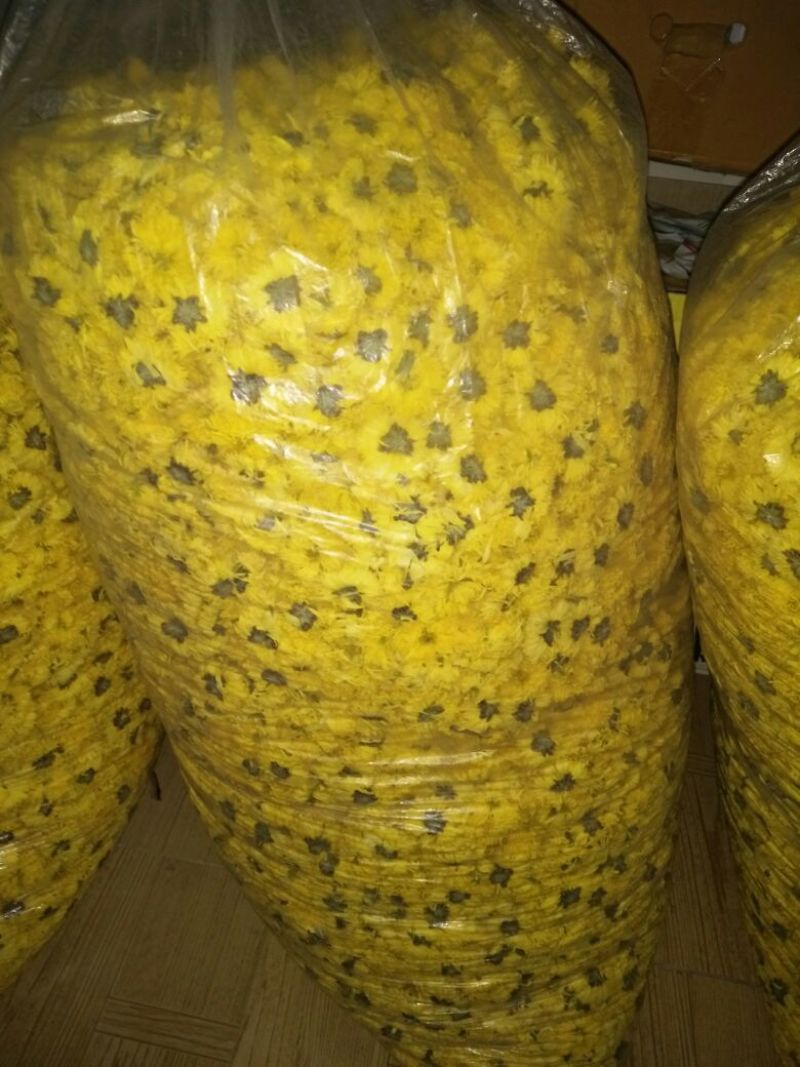皇菊茶一级