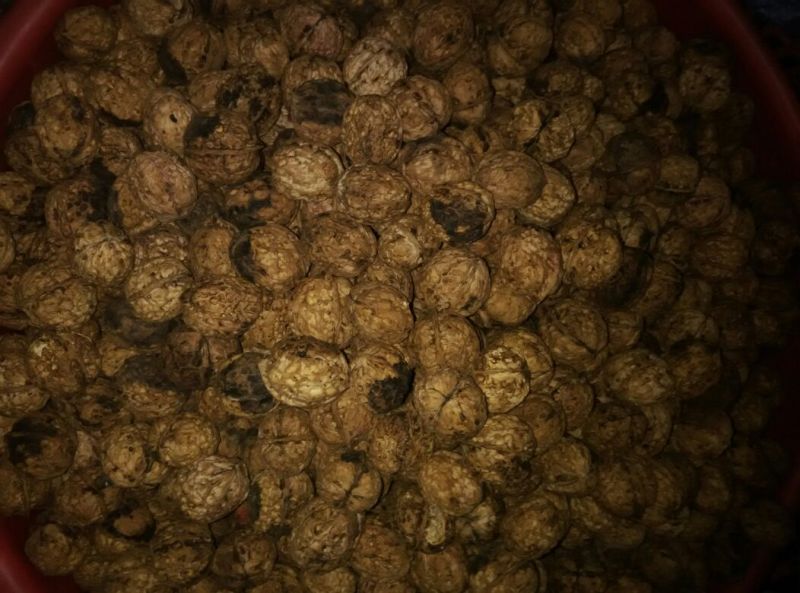 薄皮核桃30mm以上去皮