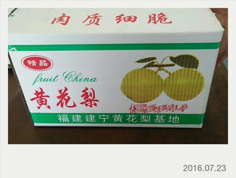 黄花梨光果湖北沙梨基地直供