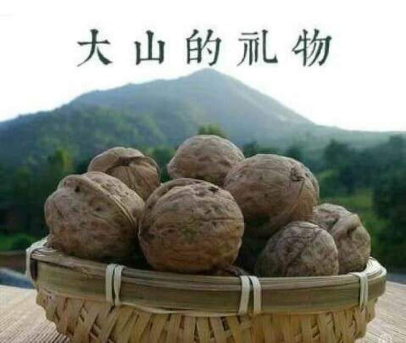 卢氏核桃去皮干