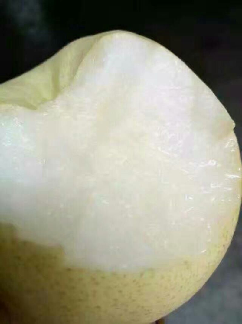 酥梨350~400g纸袋
