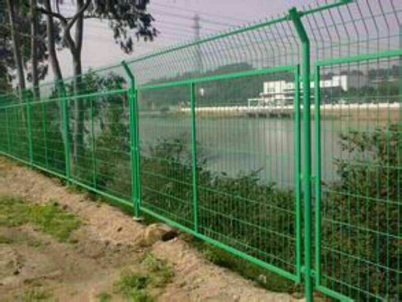 荷兰网