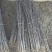 花椒苗0.5~1年
