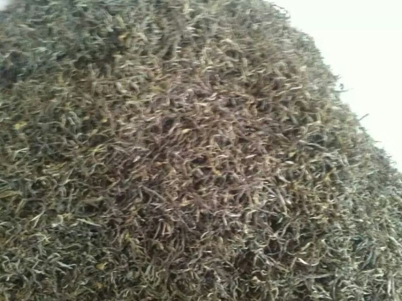 古树普洱茶一级