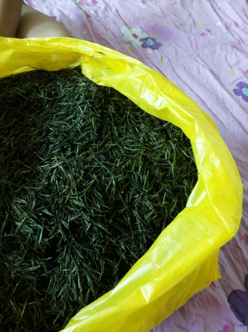 本山茶一级
