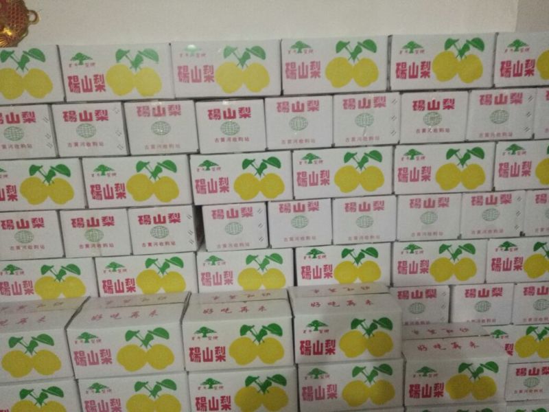 砀山梨300~350g纸箱