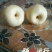 贡梨250~300g纸袋