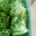 庞瑞亭蔬菜购销公司长年大量供应精品生菜，意大利