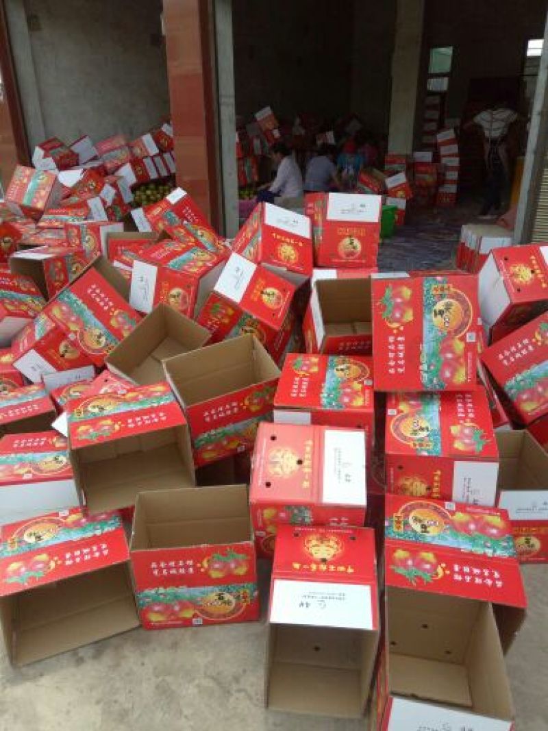 突尼斯软籽石榴8两~1斤，货源充足，产地直发！