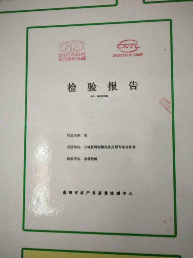 黄金梨200~250g纸袋