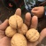 薄皮核桃