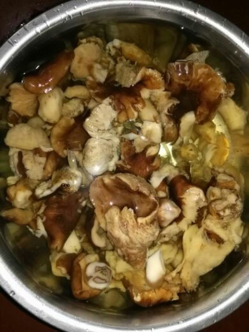 野生菌一级