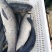 红鲤食用1~2公斤