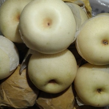 黄金梨550~600g纸箱