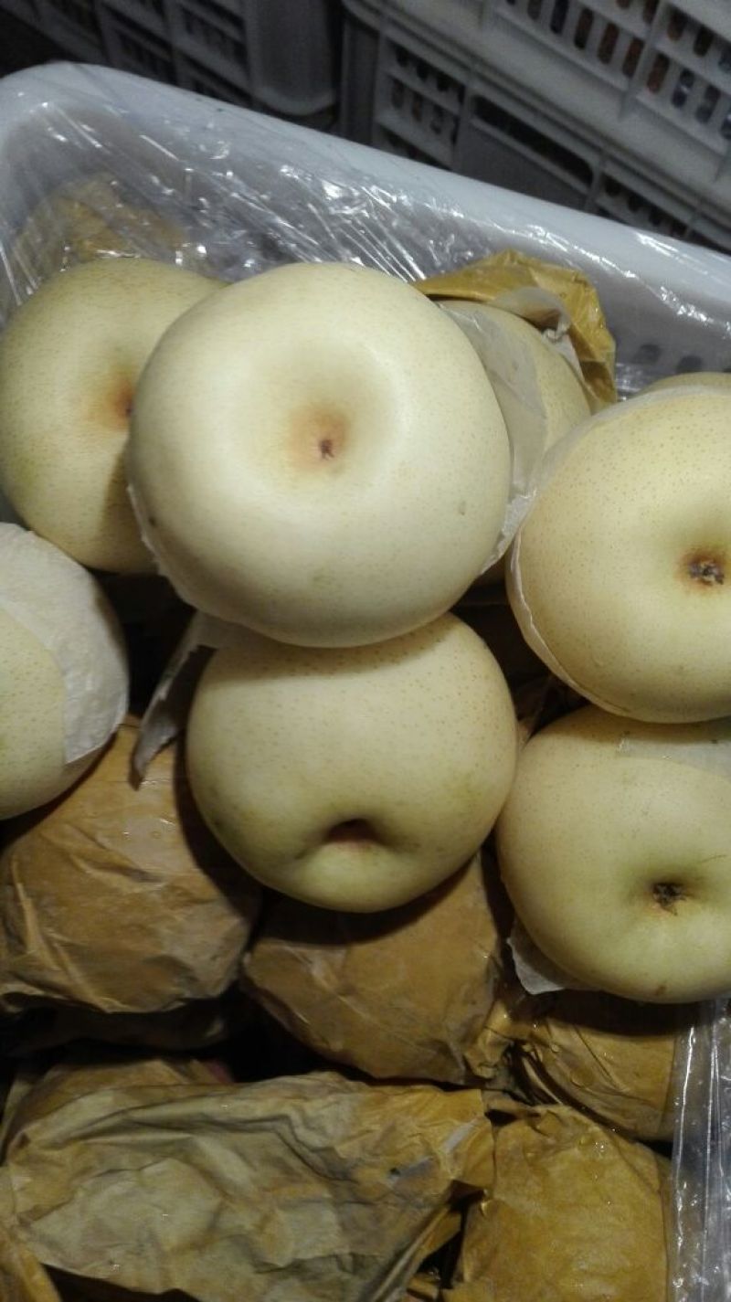 黄金梨350~400g纸袋