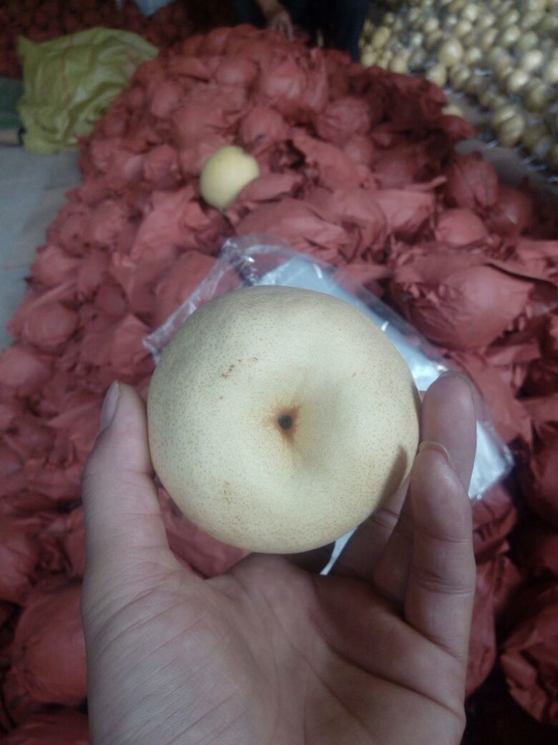 酥梨200~250g纸箱