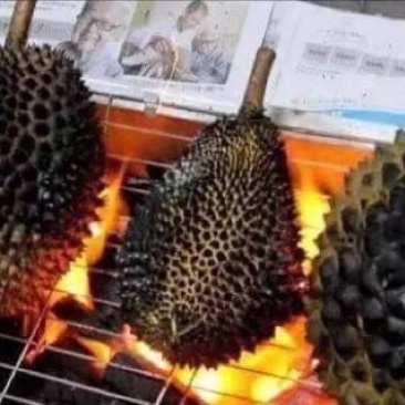 猫山王