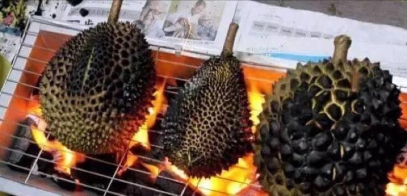 猫山王