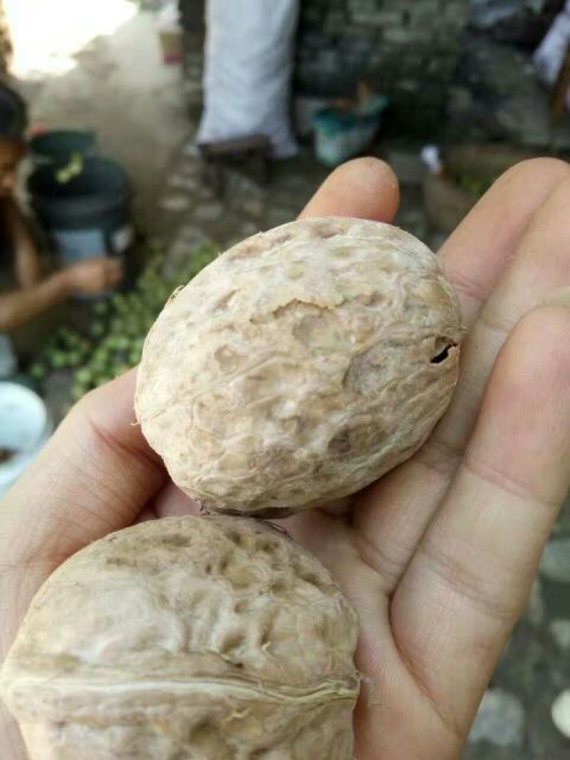 纸皮核桃去皮干