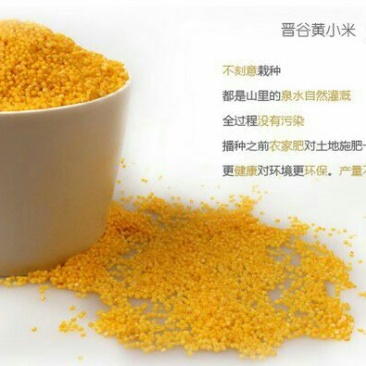 黄金米袋装