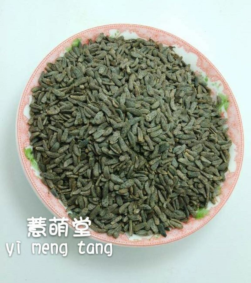 牛籽