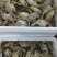 螃蟹食用雌蟹