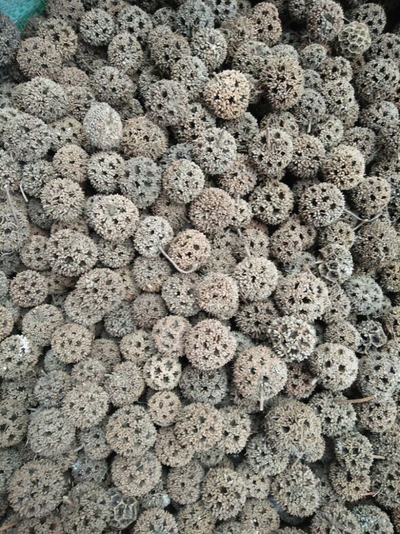路路通各种中药材批发质量批发零售各种规格中药材