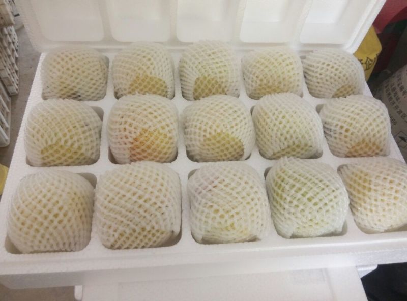 砀山梨250~300g膜袋