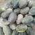 伽师瓜7斤以上长圆形