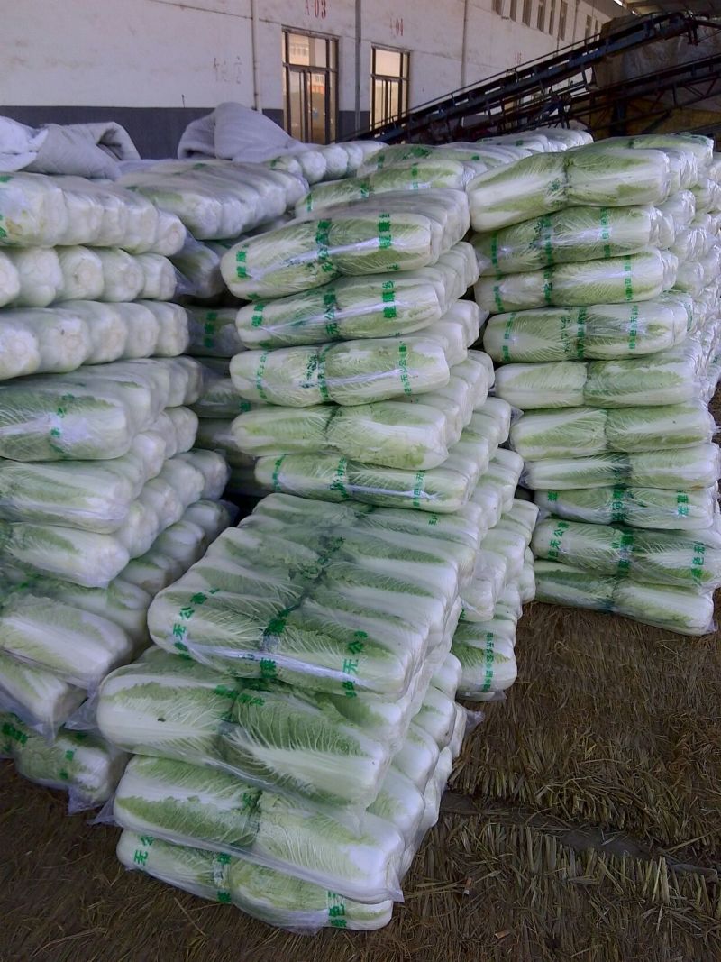 北京新三号白菜上市，专业工人加工质量好价格便