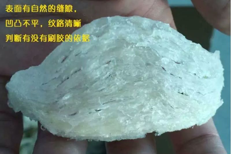 燕窝